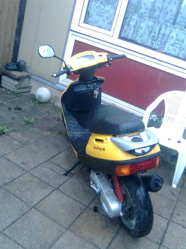 Adly baboon k (solgt) billede 7