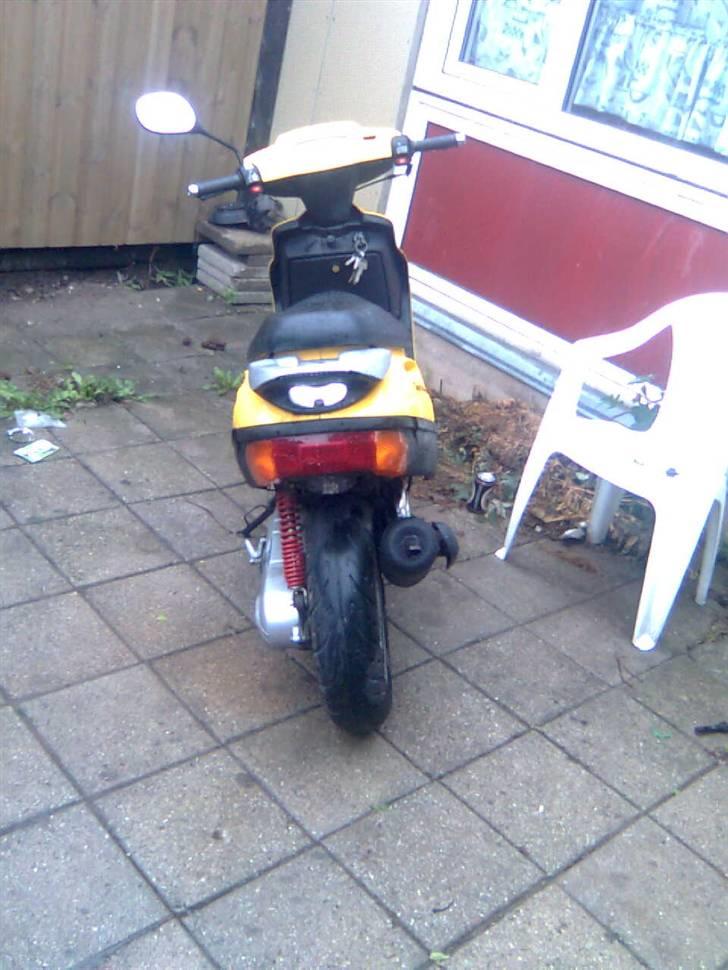 Adly baboon k (solgt) billede 8