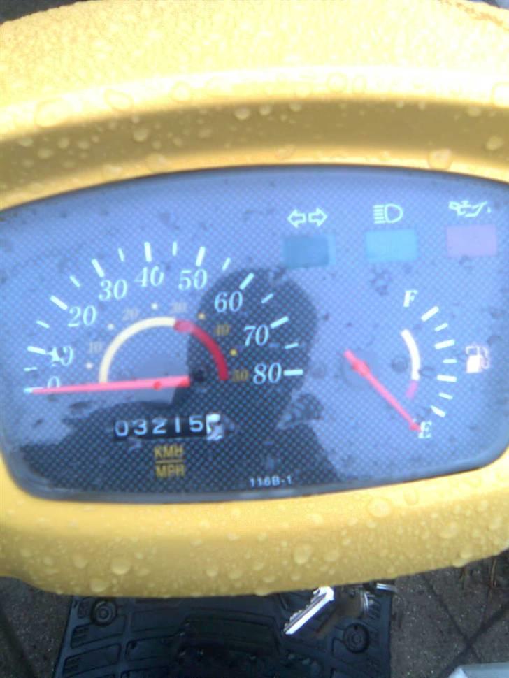 Adly baboon k (solgt) billede 9