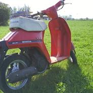 Honda Melody NT50