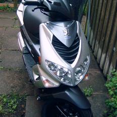 Peugeot Speedfight2 (total skade)