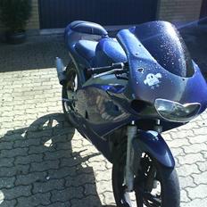 Aprilia Rs 50 byttet