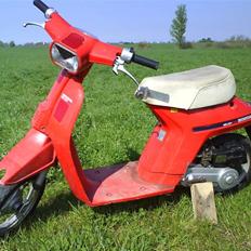 Honda Melody NT50
