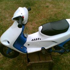 MiniBike polini