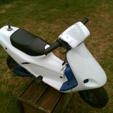 MiniBike polini