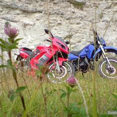 Rieju Matrix rs 2 byttet