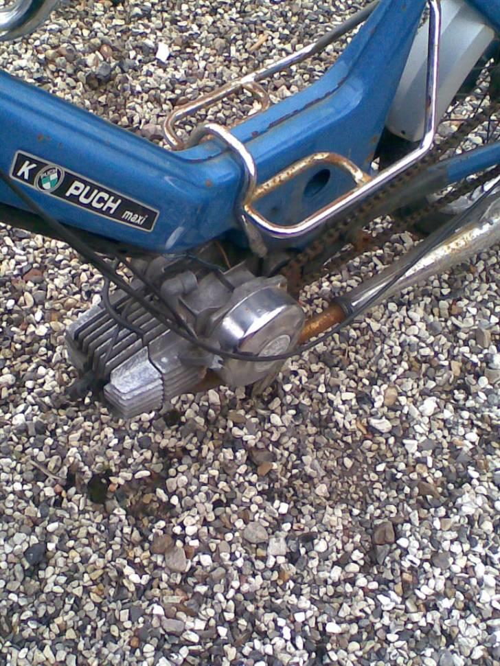 Puch Maxi [FØR] billede 9