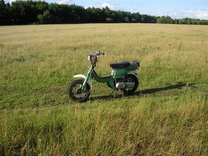 Suzuki Fz 50 Tilsalg billede 4