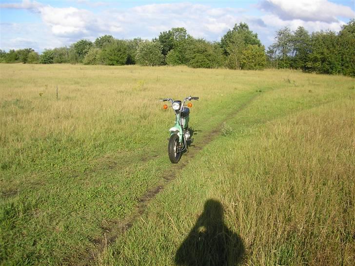 Suzuki Fz 50 Tilsalg billede 5