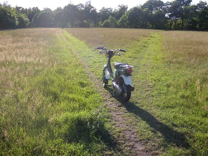 Suzuki Fz 50 Tilsalg billede 6