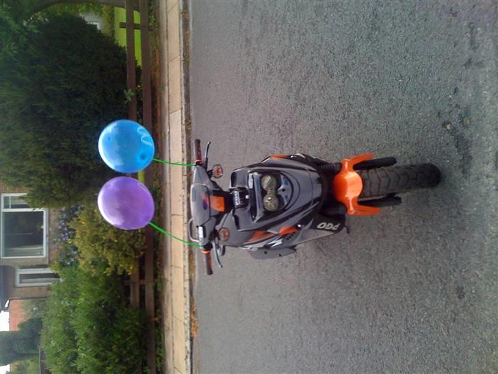 PGO Hot 50 billede 12