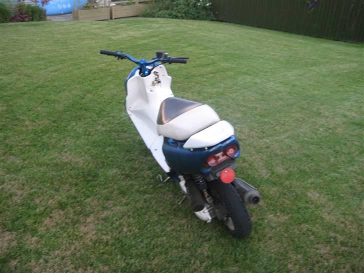 Honda SFX (Byttet) billede 3