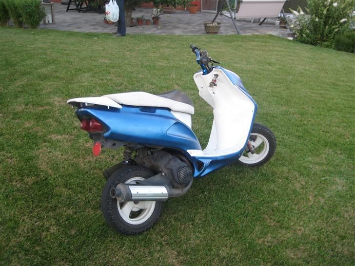 Honda SFX (Byttet) billede 4