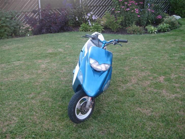 Honda SFX (Byttet) billede 5