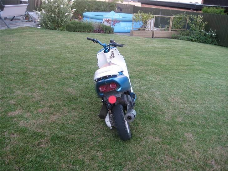 Honda SFX (Byttet) billede 6