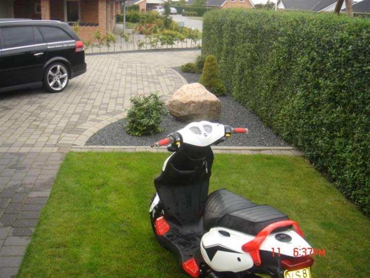 PGO Pmx Sport TOTALSKADET billede 9