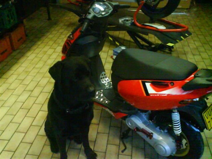 Aprilia Sonic.. totalskadet! billede 7