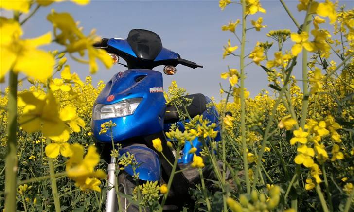 CPI popcorn billede 16