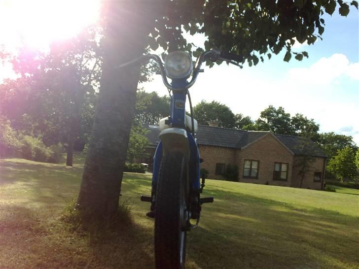 Suzuki fz 50 billede 7