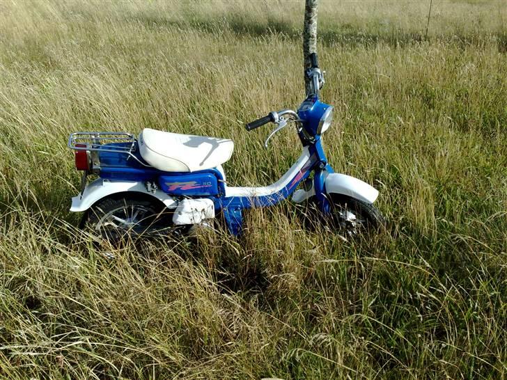 Suzuki fz 50 billede 8