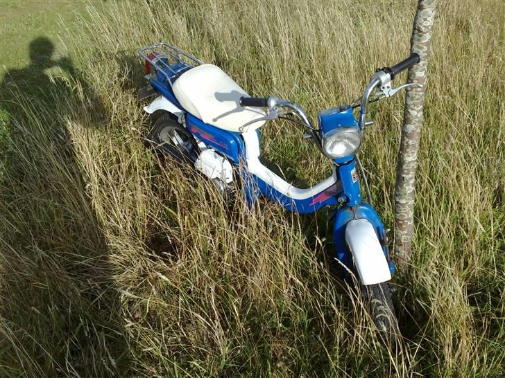 Suzuki fz 50 billede 9