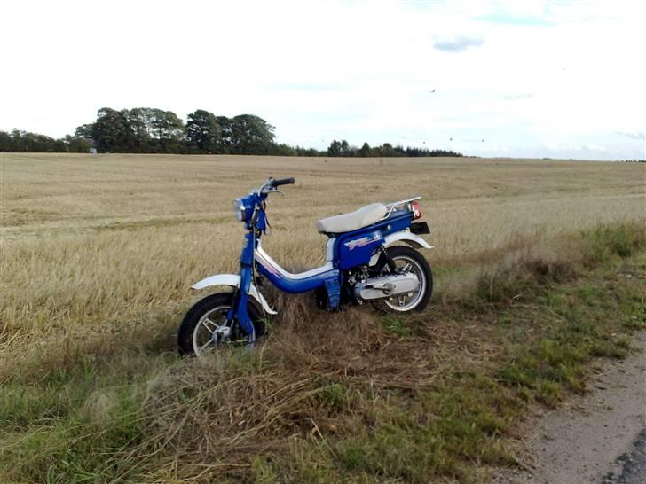 Suzuki fz 50 billede 14