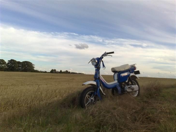 Suzuki fz 50 billede 15