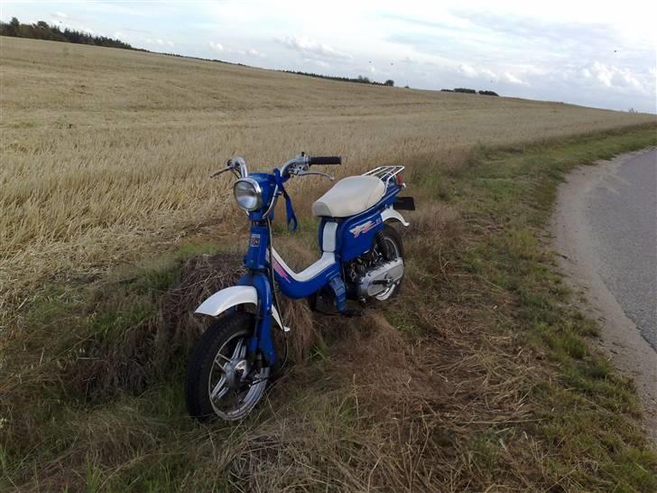 Suzuki fz 50 billede 16