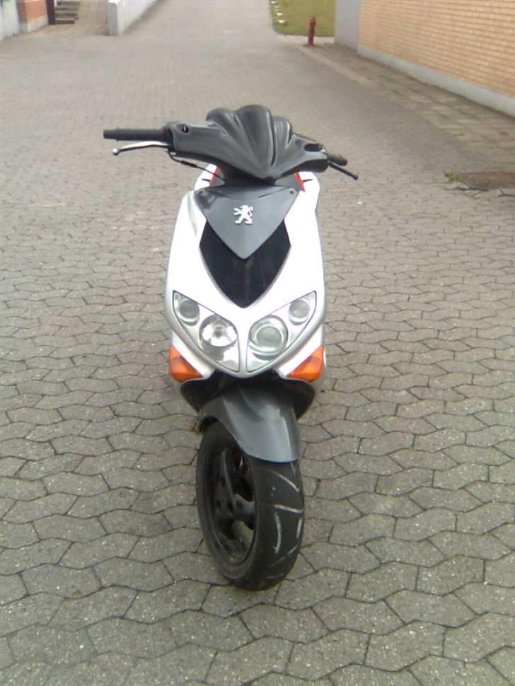 Adly baboon k (solgt) billede 11