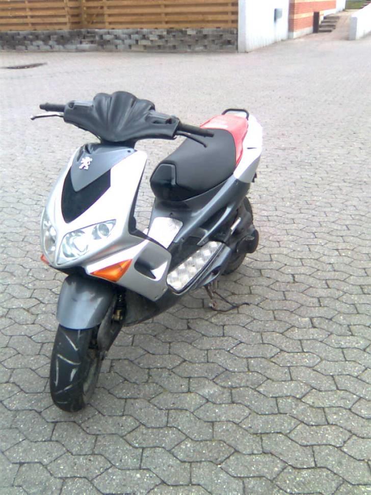 Adly baboon k (solgt) billede 12