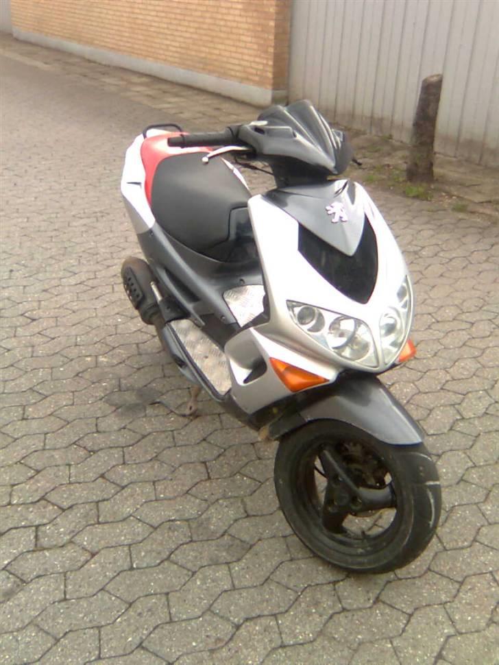 Adly baboon k (solgt) billede 13