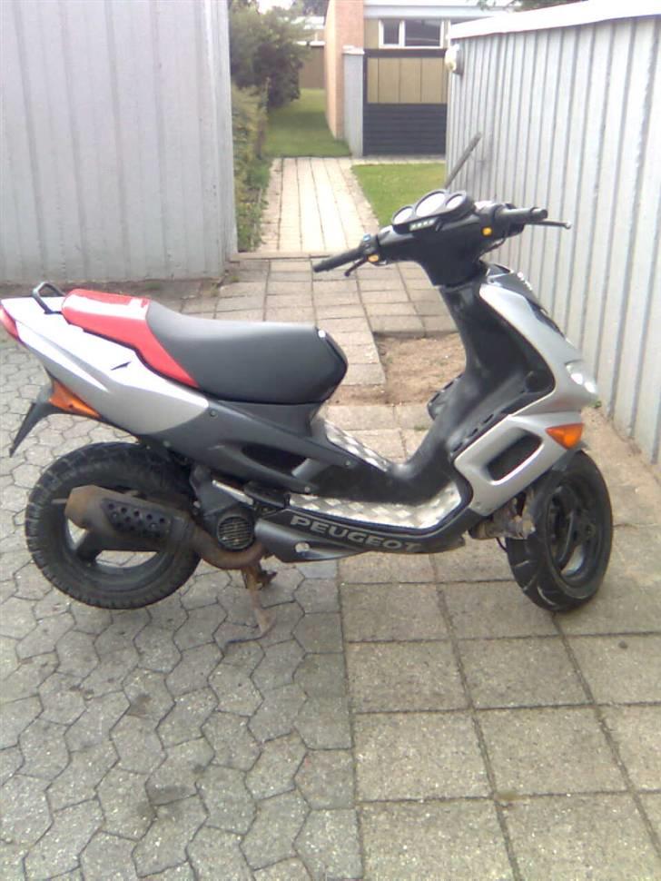 Adly baboon k (solgt) billede 14