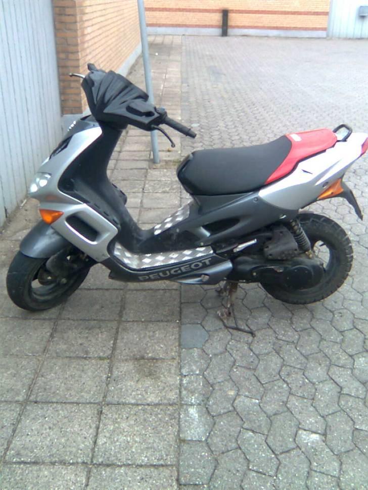 Adly baboon k (solgt) billede 15