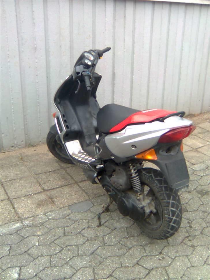 Adly baboon k (solgt) billede 16