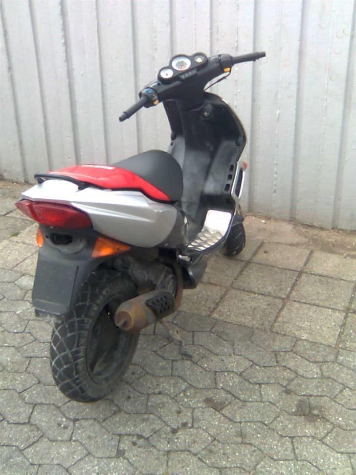 Adly baboon k (solgt) billede 17