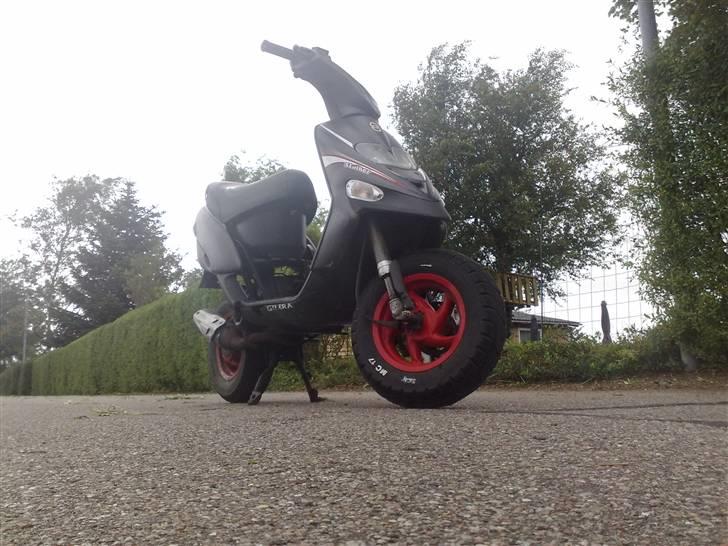 Gilera stalker byttet billede 13