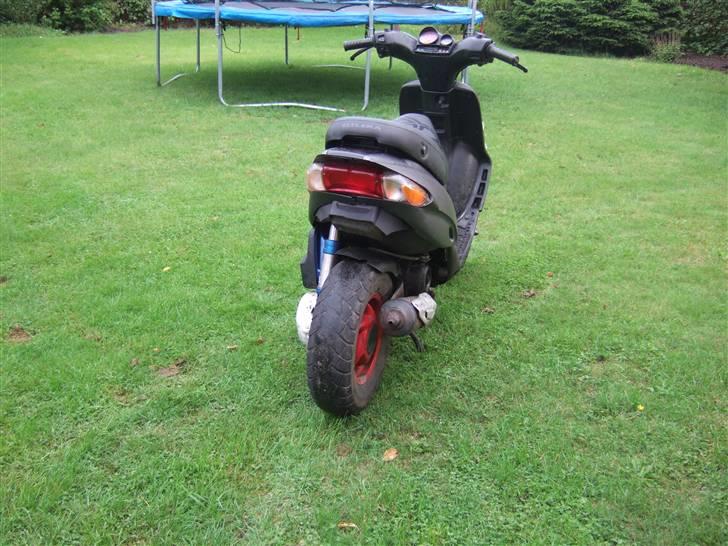 Gilera stalker byttet billede 14