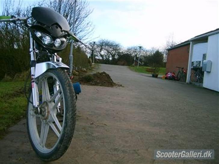 Puch Polini Maxi solgt billede 1