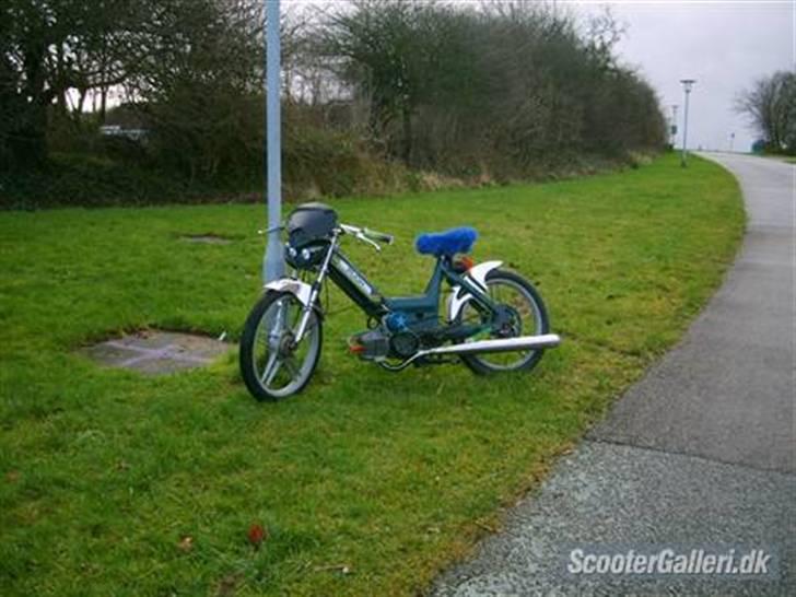 Puch Polini Maxi solgt billede 2