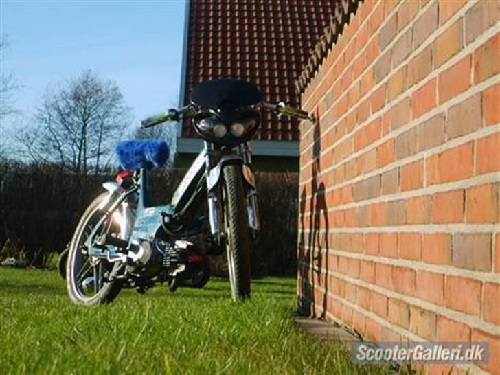 Puch Polini Maxi solgt billede 3