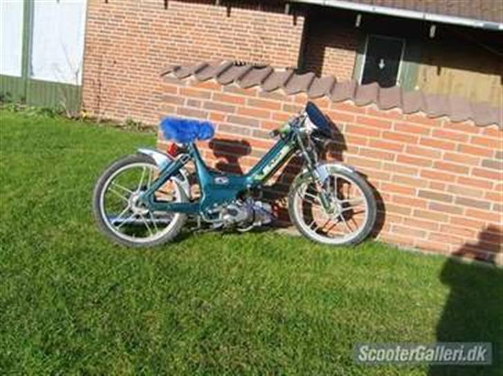Puch Polini Maxi solgt billede 4