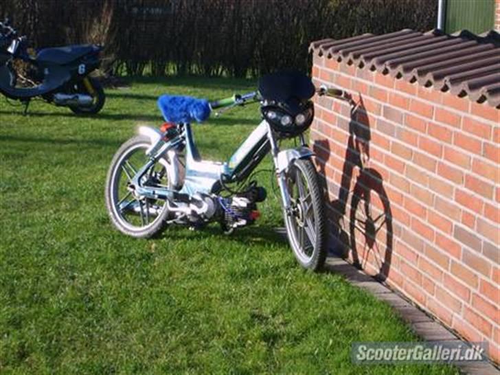 Puch Polini Maxi solgt billede 5