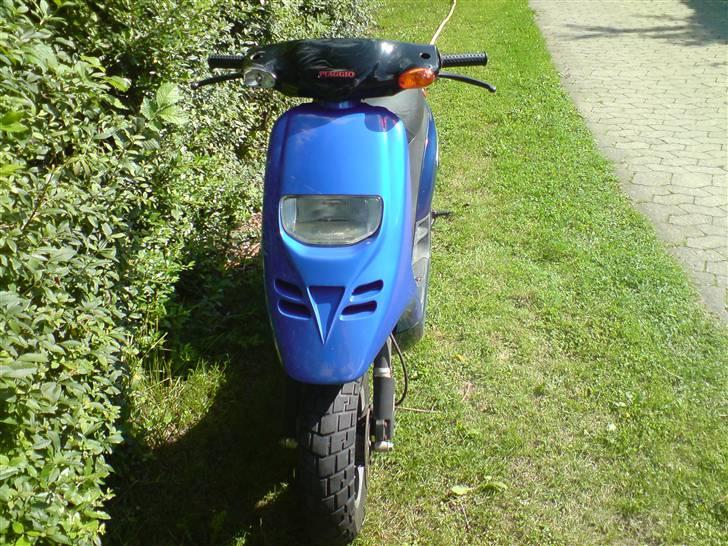 Piaggio typhoon (45) >>>Solgt<<< billede 4