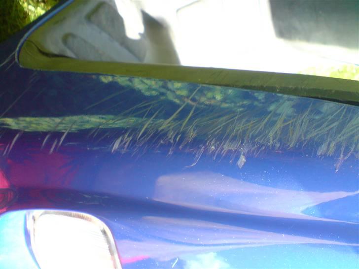 Piaggio typhoon (45) >>>Solgt<<< billede 5