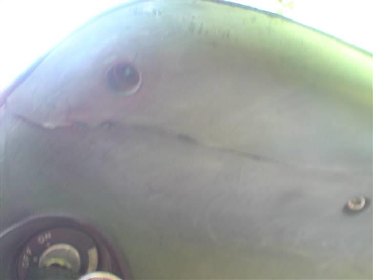 Piaggio typhoon (45) >>>Solgt<<< billede 10