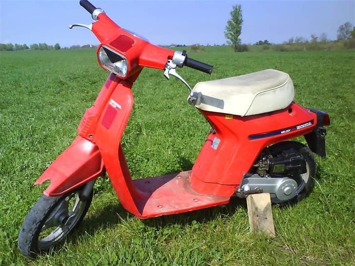 Honda Melody NT50 billede 1