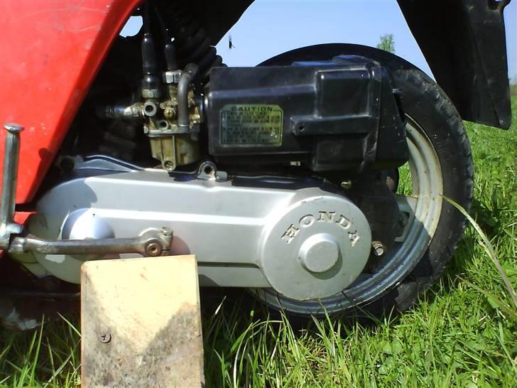 Honda Melody NT50 billede 2