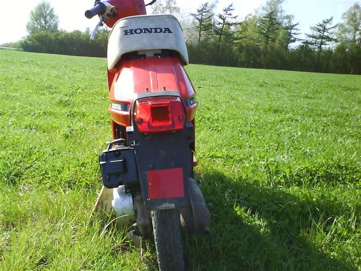 Honda Melody NT50 billede 3