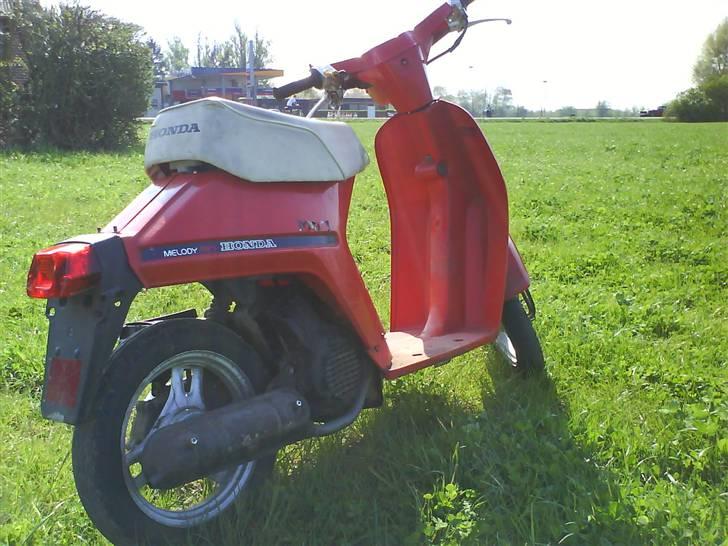 Honda Melody NT50 billede 5