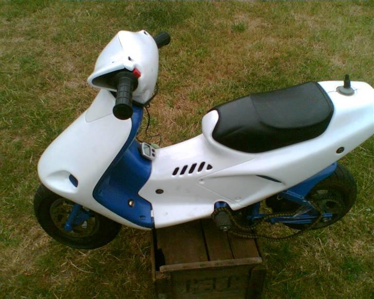 MiniBike polini billede 1